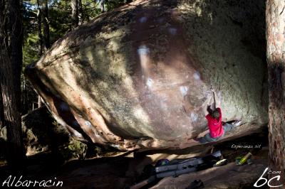 Paul in "Esperanza sit"